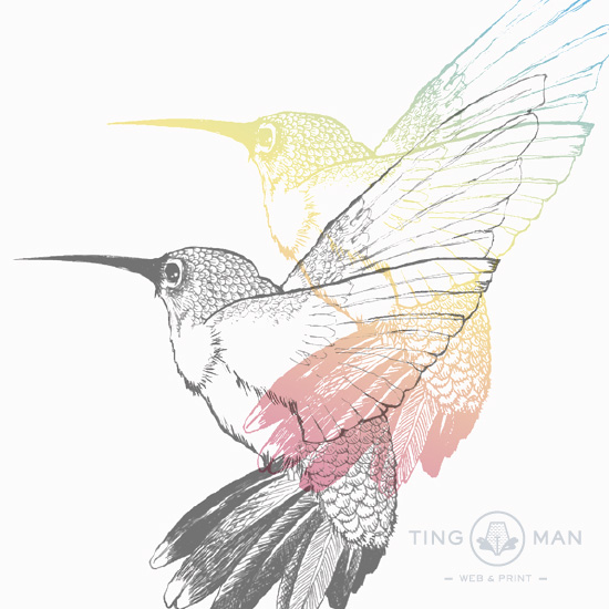 hummingbird_digital