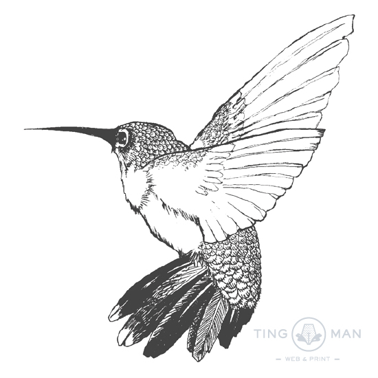 hummingbird_pen
